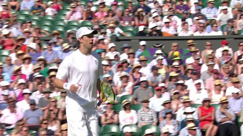 Wimbledon 2013 Day 12 Highlights
