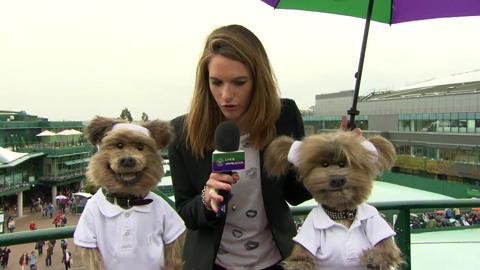 Hacker and Dodge Live @ Wimbledon Interview