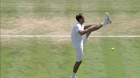 Wimbledon 2013 Day 9 Preview