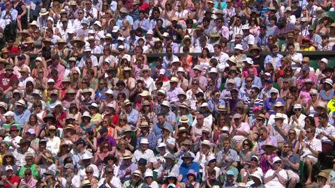 HSBC Perfect Play: Marion Bartoli at Wimbledon 2013