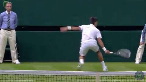 2014 Day 1 Highlights, Novak Djokovic vs Andrey Golubev, First Round