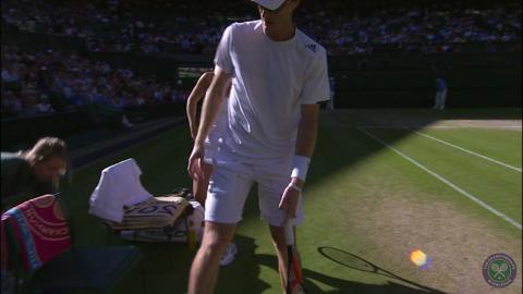 2014 Day 10 Highlights, Murray/Dellacqua vs Tecau/ Mirza, Third Round