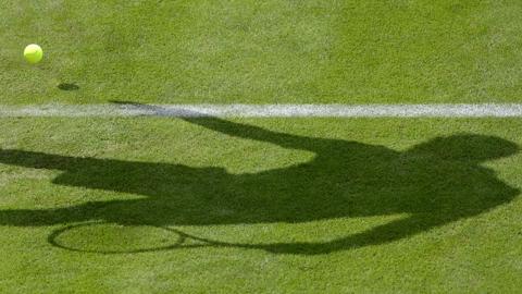 Wimbledon on digital - what to follow and where