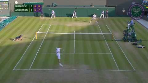 2015 Day 8 Highlights, Novak Djokovic vs Kevin Anderson