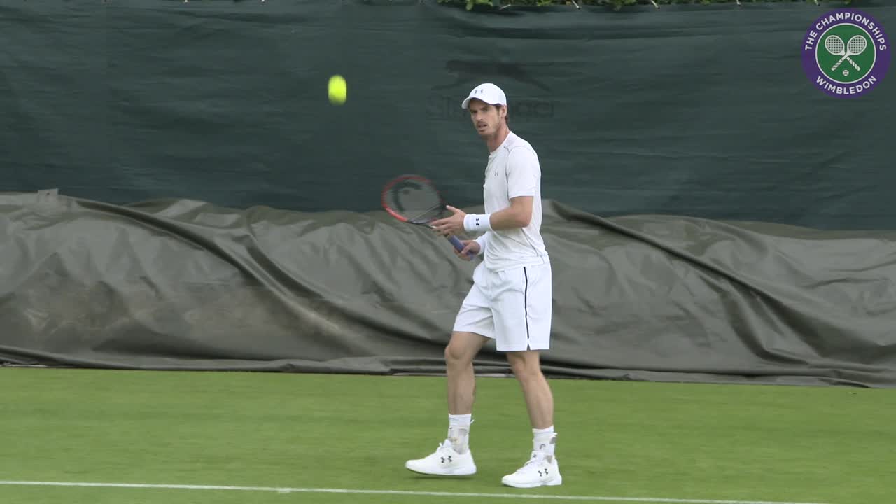 Grand Slam pressure is on for Djokovic, says Woodforde