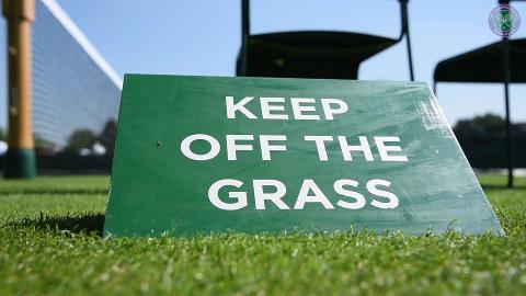 Opening of the Wimbledon grass courts
